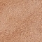BENET_CAMEL
